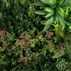 Nearly Natural 38-in UV Resistant Amazon Rainforest Artificial Living Wall Art Panel in Black Aluminum Frame (Indoor/Outdoor) - 3 of 4