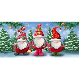Briarwood Lane Winter Winter Gnomes Mini Mat 22x10 Indoor Outdoor For Winter Doormat - 1 of 3
