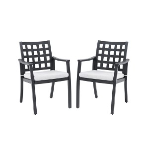 Sapphtopaz Patio Dining Chairs Aluminum Outdoor Dining Chairs with Cushions, Tapered Feet for Garden, Patio, Lawn - 1 of 4