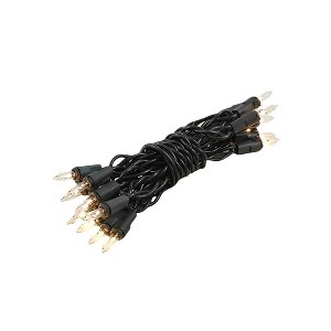 Novelty Lights 20 Light Incandescent Craft Mini Christmas String Lights Black Wire 8.5 feet - 1 of 4