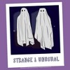 Girl's Beetlejuice Halloween Strange and Unusual Ghost Photo T-Shirt - 2 of 4