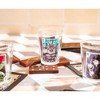 Silver Buffalo Disney Villains Portraits 1-Ounce Mini Shot Glasses | Set of 4 - 4 of 4