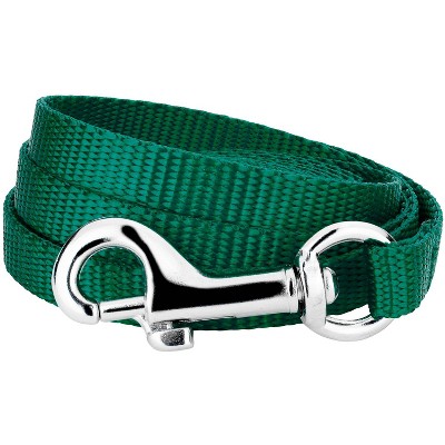 Country Brook Petz - Nylon Dog Leash (3/8 Inch Wide)