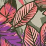 grape leaf tropical