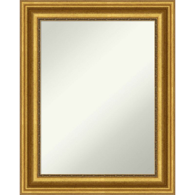 24&#34; x 30&#34; Non-Beveled Parlor Bathroom Wall Mirror Gold - Amanti Art, 1 of 11