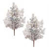 Flocked Pine Berry Spray (Set of 2) - 3 of 3
