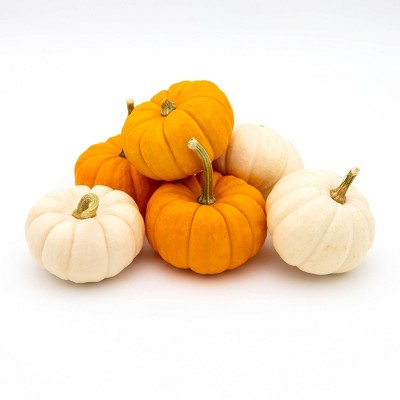 Mixed Ornamental Pumpkins - 6ct