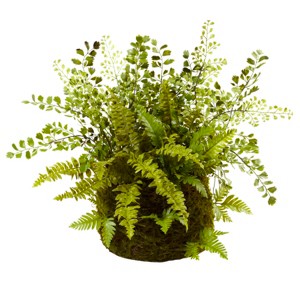 Nearly Natural Mixed Fern with Twig and Moss Basket - 1 of 1