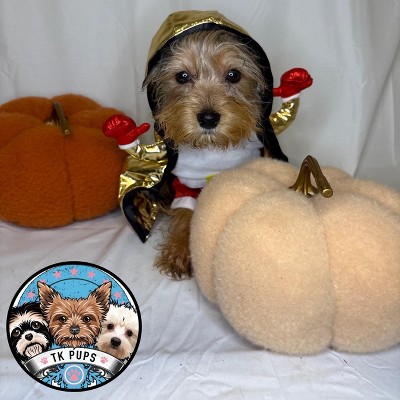 Guest review image 2 of 2, zoom in