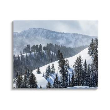 Stupell Industries Quiet Snowy Mountain Slopes Scattered Fir Trees Canvas Wall Art