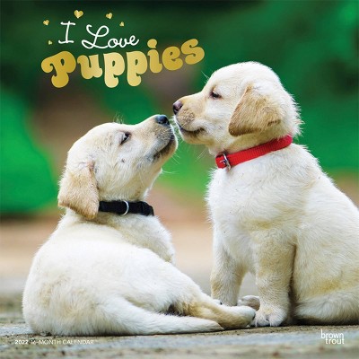 2022 Square Calendar I Love Puppies - BrownTrout Publishers Inc