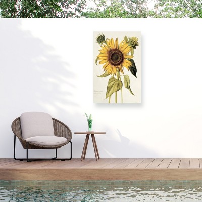 "Helianthus Annuus Sunflower" Outdoor Canvas
