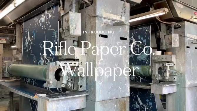 Rifle Paper Co. Aviary Peel and Stick Wallpaper Blue, 2 of 6, play video
