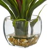 Bromeliad with Glass Vase Arrangement - Nearly Natural - image 2 of 3