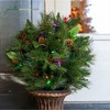 Garden Elements Battery Operated Christmas Compact Ball Porch Tree in Bronze Container, 30in - 4 of 4