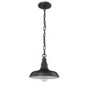 Millennium Lighting 1 - Light Pendant in  Powder Coated Black - 3 of 4