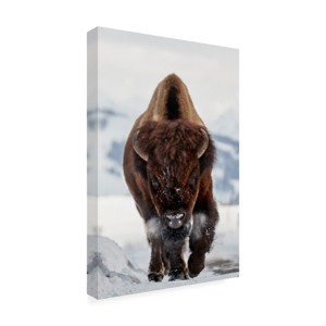 Trademark Fine Art -Peter Hudson 'Bison Incoming' Canvas Art - 1 of 4