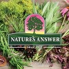 Nature's Answer Ginkgo Biloba Liquid Extract 1 Oz - 4 of 4