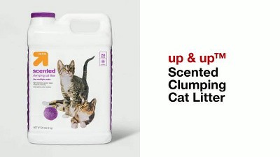 Up and up clearance scented clumping cat litter