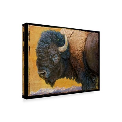 Trademark Fine Art -Chris Vest 'Bison Portrait Iii' Canvas Art