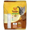 Meow Mix Tender Centers with Flavors of Salmon & Turkey Adult Complete & Balanced Dry Cat Food - 13.5lbs - 2 of 4