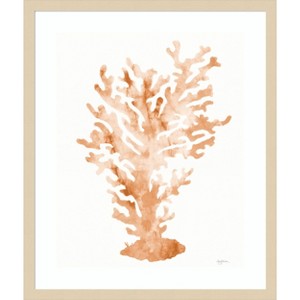 Amanti Art Shibori Coral III Peach by Mary Urban Wood Framed Wall Art Print - 1 of 4