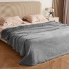 Catalonia Waterproof Bed Blanket for Couch Bed, Cozy Fleece Lining Throws for Bed Essentials - 4 of 4