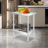 Stainless Steel Storage Table with Gloves, Cloth, Full Stainless Steel Work Table, Heavy Duty Durable Metal Storage, Food Prep Table - 2 of 4