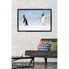 Trends International The Comedy Wildlife Photography Awards: Jennifer Hadley - Talk To The Fin Framed Wall Poster Prints - 2 of 4