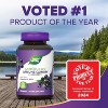 Nature's Way Sambucus Elderberry Immune Gummies with Vitamin C, Vitamin D3 and Zinc - 60ct - 4 of 4