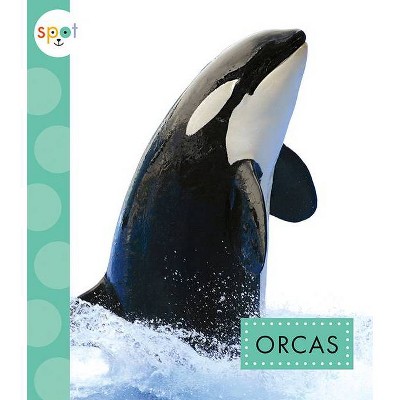 Orcas - (Spot Arctic Animals) by  Anastasia Suen (Paperback)