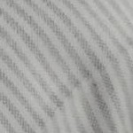 Gray Stripe