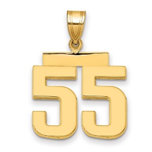 Black Bow Jewelry 14k Yellow Gold, Athletic Collection Medium Polished Number 55 Pendant - 1 of 4
