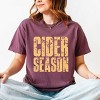 Cider Season Block Distressed - Women's Garment Dyed Graphic T-Shirt - 3 of 4