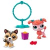 Littlest Pet Shop Pet Pairs Jump N’ Joy Sheltie & Coral Poodle 2-Pack Mini Figures, Ages 4+ - 2 of 3