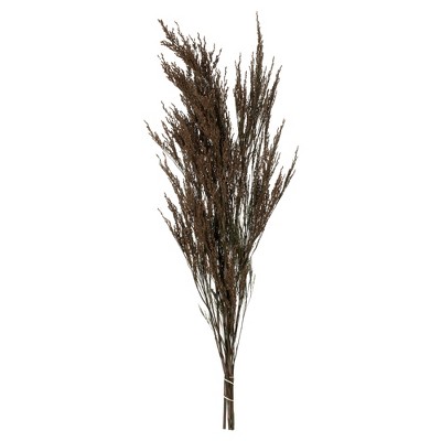 Vickerman Green Reed Grass Bundle : Target