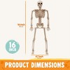 Joyfy 16” Halloween Full Body Poseable Skeleton, Human Plastic Bone with Movable Joints for Haunted House Graveyard Prop Party Decor (1pcs, Original) - 4 of 4