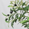 SEVOBAL Artificial Plants 8FT Tall Olive Tree Large Faux Decorative Tree with Realistic Leaves and Fruit for Decor, Green, 59"*59"*98.4" - 4 of 4