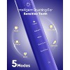 MySmile DY156 Electric Toothbrush for Adults, 3 Brush Heads, One Charge for 60 Days - 3 of 4