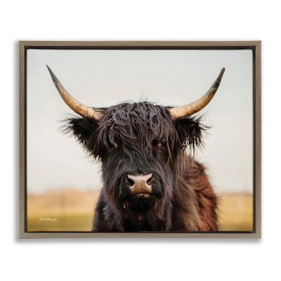 Stupell Industries Black Highland Cow Portrait, 21" x 17"