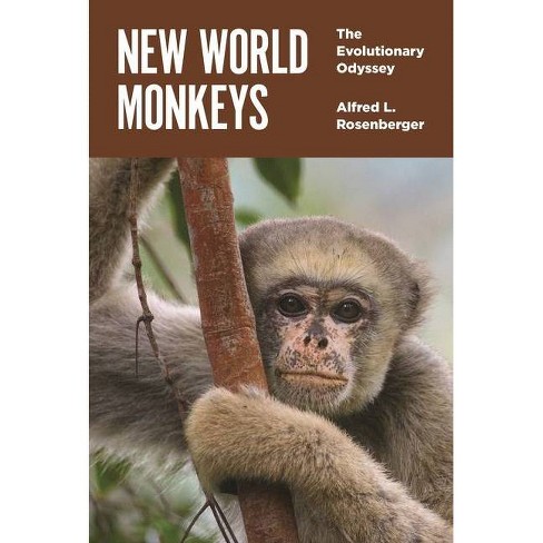 New World Monkeys - By Alfred L Rosenberger (hardcover) : Target