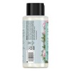 Love Beauty and Planet Indian Lilac and Clove Leaf Positively Shine Sulfate Free Shampoo - 13.5 fl oz - image 4 of 4