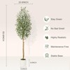 5ft Artificial Olive Tree with White Cement Planter and Green Moss – Realistic Faux Silk Plant with Natural Wood Trunk,1 PCS - 3 of 4