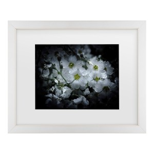 Trademark Fine Art - Brian Carson Backyard Flowers 51 Matted Framed Art - 1 of 4