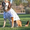Doggie Design Hawaiian Camp Shirt - Anchors Aweigh - 2 of 3
