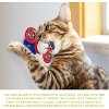 Cat Entertainment Set: Interactive Rotating Disk, Feather Teasers, Tumbler, Windmill Toy - Keeps Cats Active & Engaged - 4 of 4