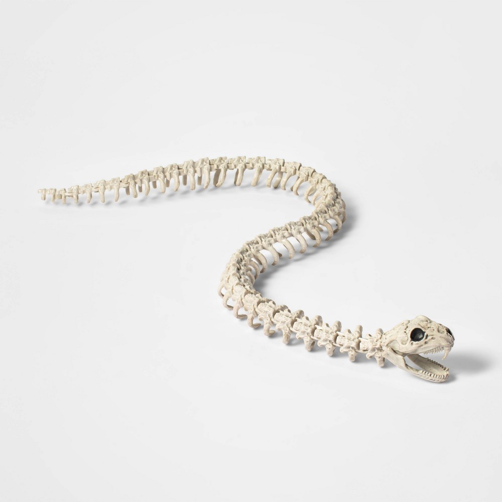 Snake Skeleton Halloween Decorative Prop - Hyde & EEK! Boutique™