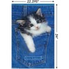 Trends International Keith Kimberlin - Kitten - Pocket Unframed Wall Poster Prints - 3 of 4