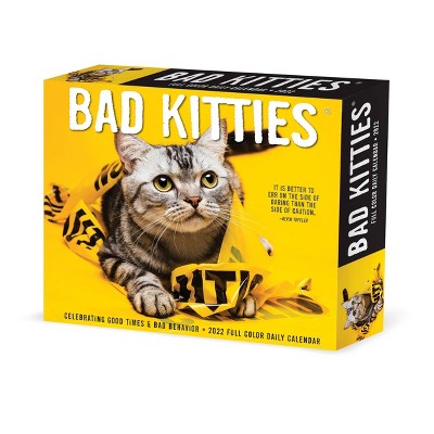 2022 Box Calendar Bad Kitties - Willow Creek Press