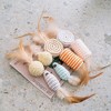 Dexypaws: Cat 8-Piece Sisal & Feather Toy Set - Various Shapes & Textures - 4 of 4